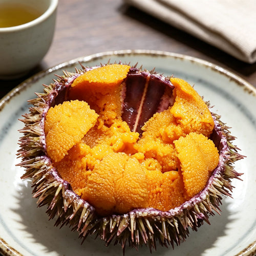 Fresh Sea Urchin Roe in Shell